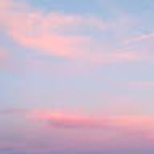 Meet your Posher, Sadie